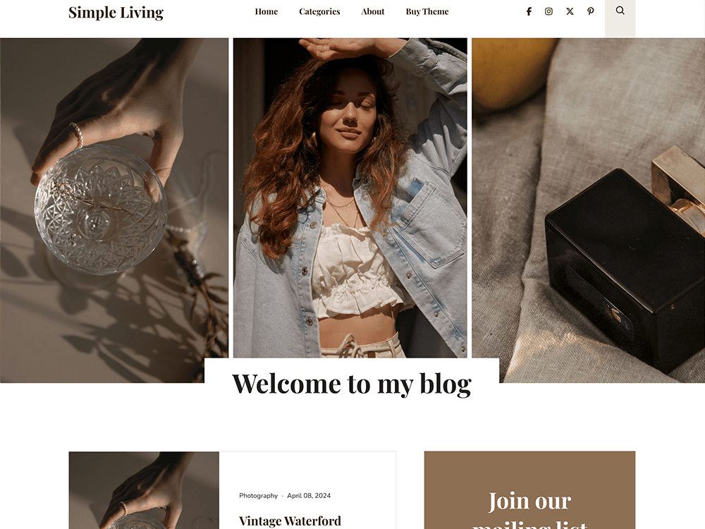 premium blogger theme