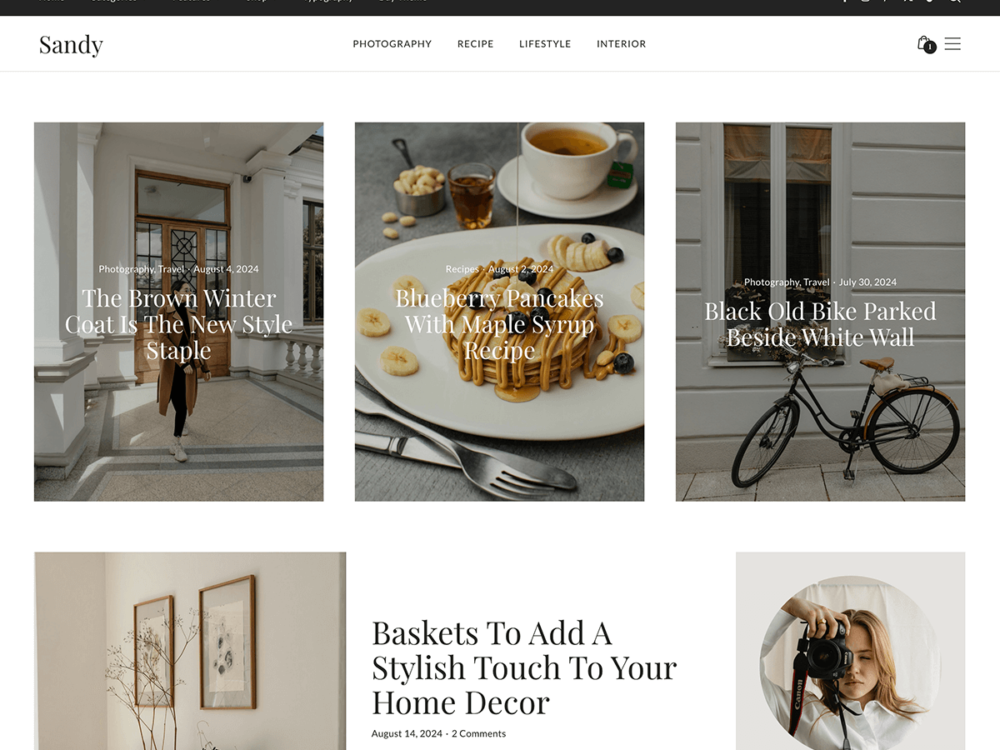 premium wordpress theme