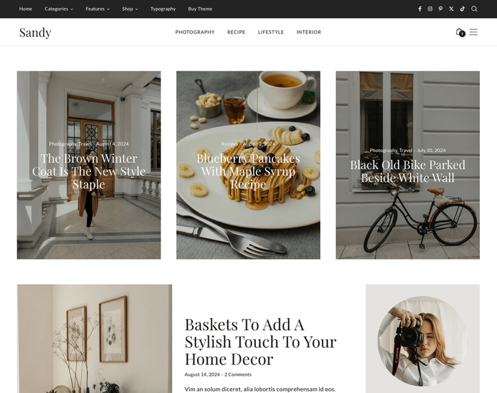 premium wordpress theme